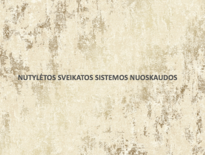 Sveikatos reikalų komiteto konferencija Nutylėtos sveikatos sistemos nuoskaudos