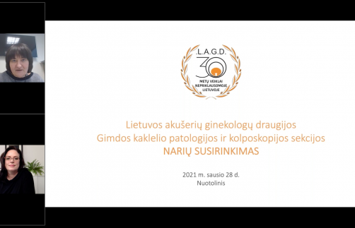Įvyko nuotolinis LAGD Gimdos kaklelio patologijos ir kolposkopijos sekcijos narių susirinkimas