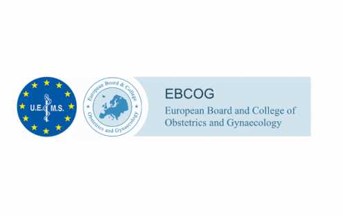EBCOG siunčia užuojautą dėl profesorės Rūtos Jolantos Nadišauskienės netekties